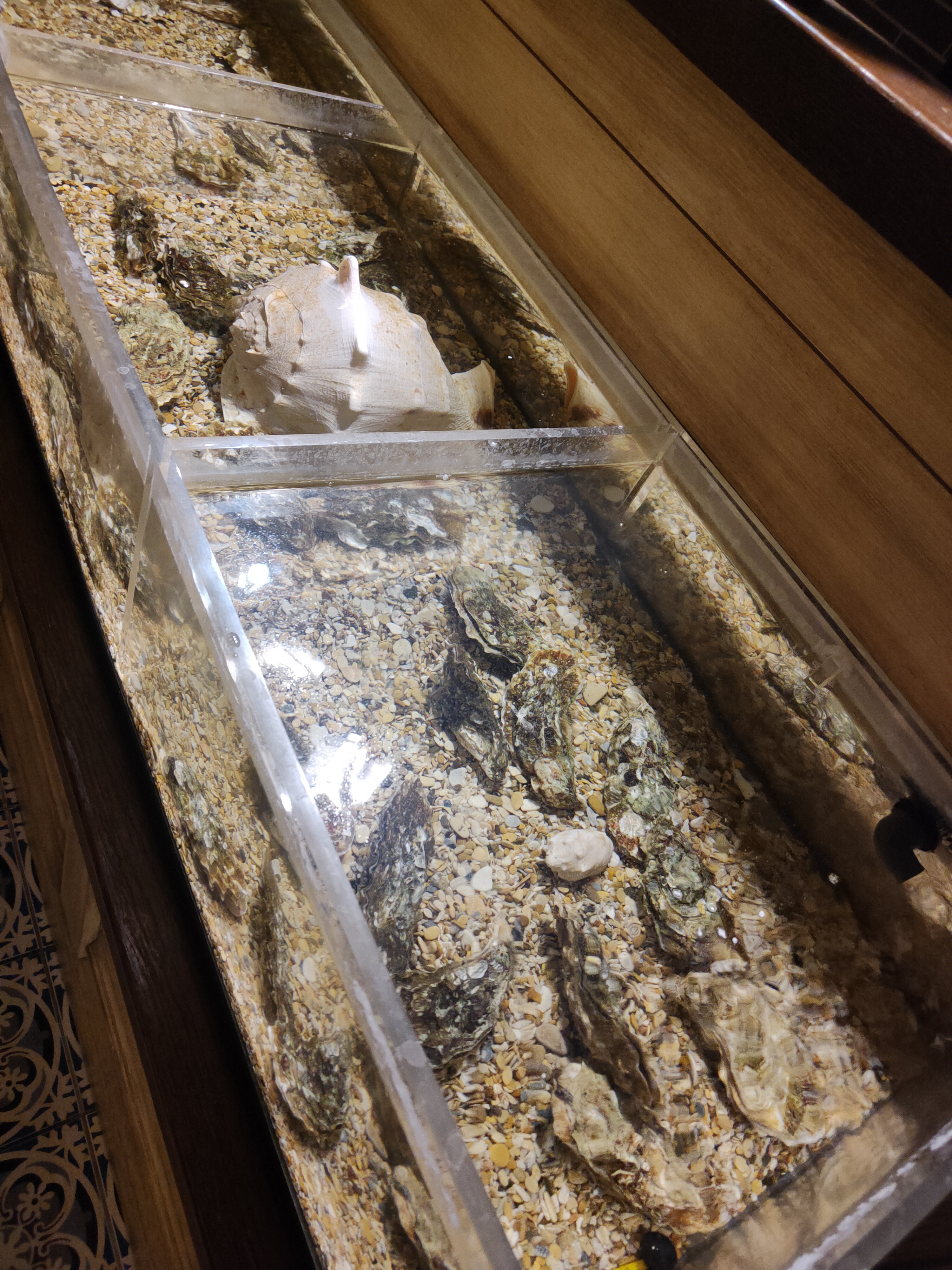 Фото Птицы и пчелы