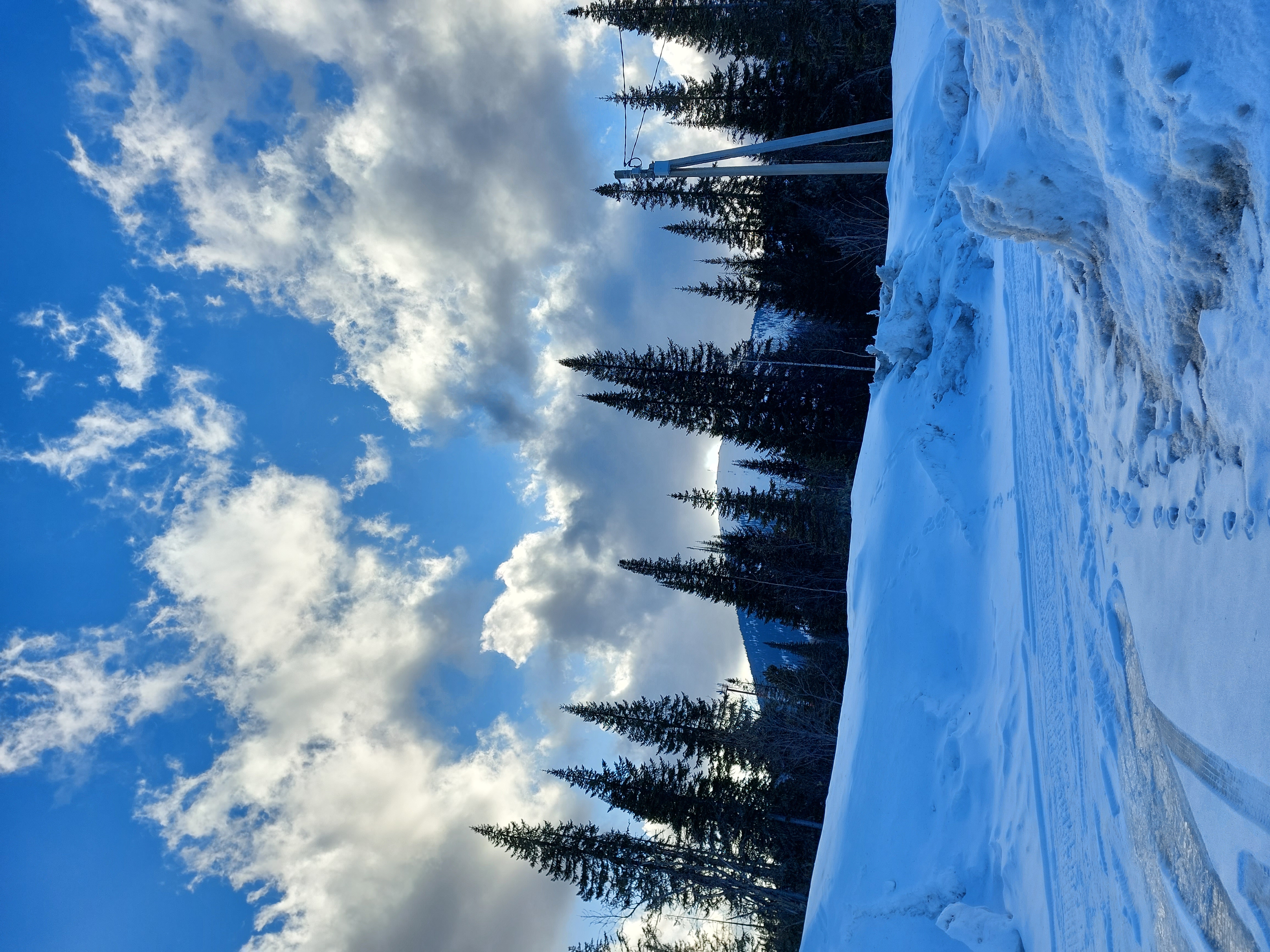 Фото Svekla project