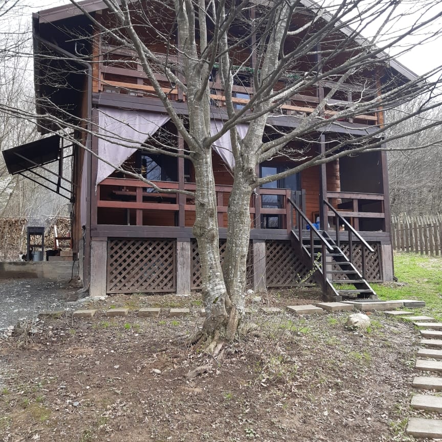 Фото Шале Дрозды