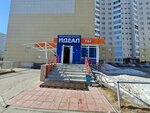 Идеал (Iosifa Karolinskogo Street, 14), grocery