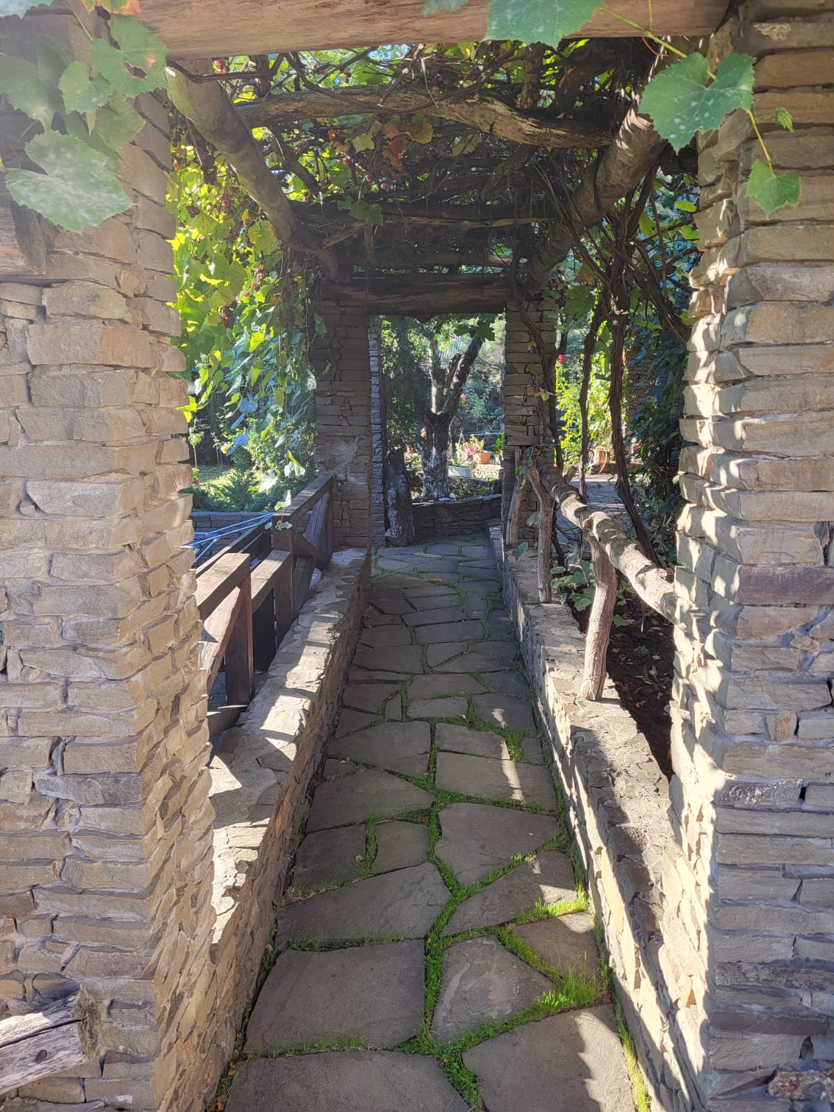 Фото Сказка