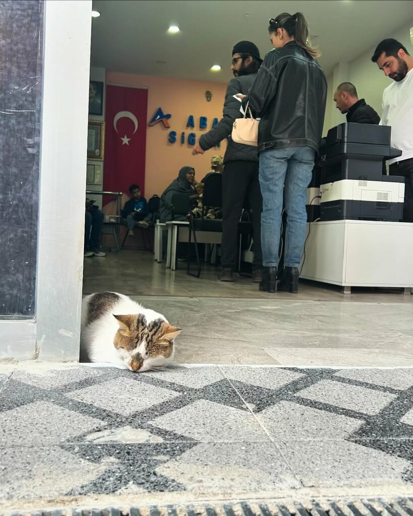 Insurance company Serdar Abay Sigorta, Ankara, photo