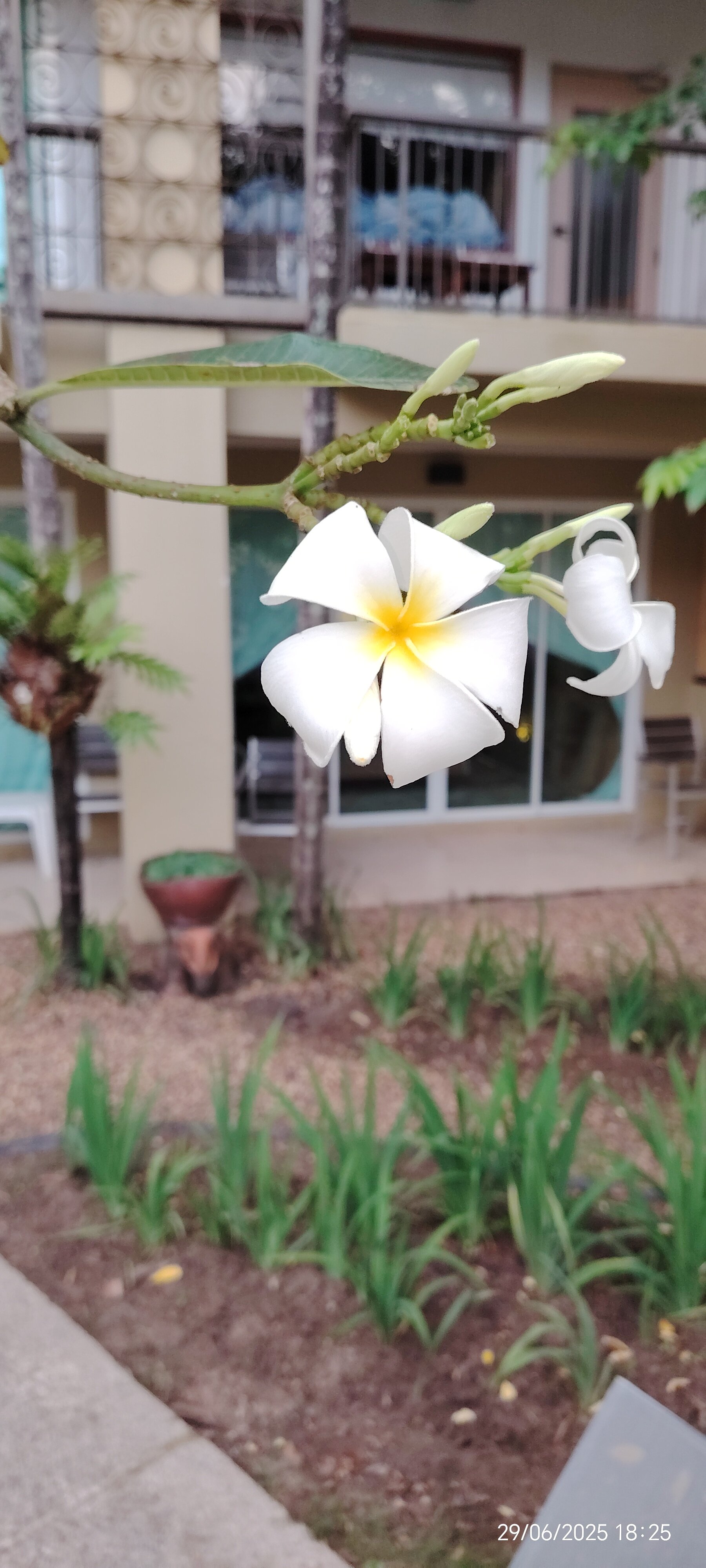 Фото Baan Karon Resort