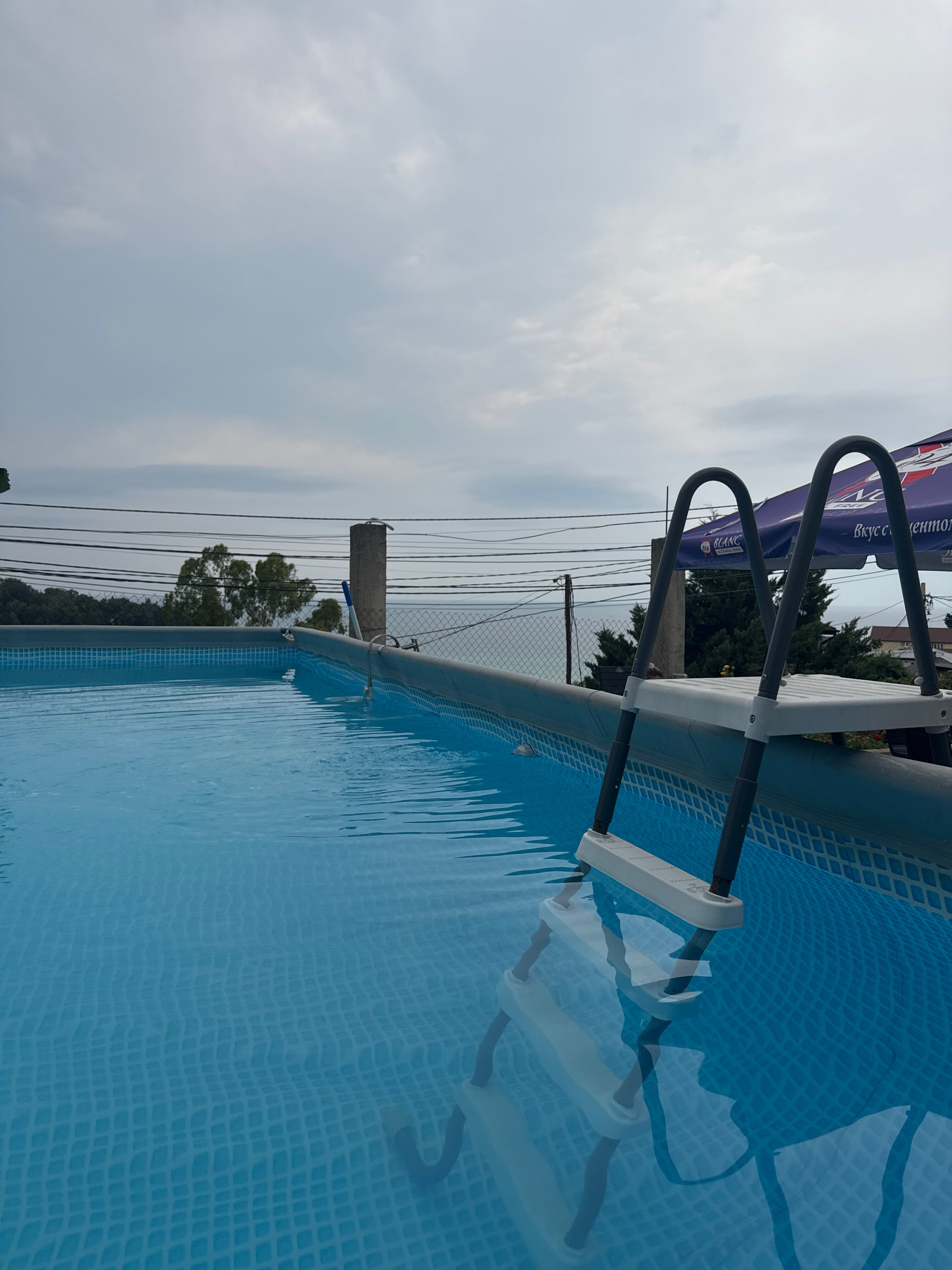 Фото Южная Пальмира