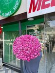 Sof Flower Shop (Yashnabad City District, Mavlonо Riyoziy dahasi, 30B), flower shop