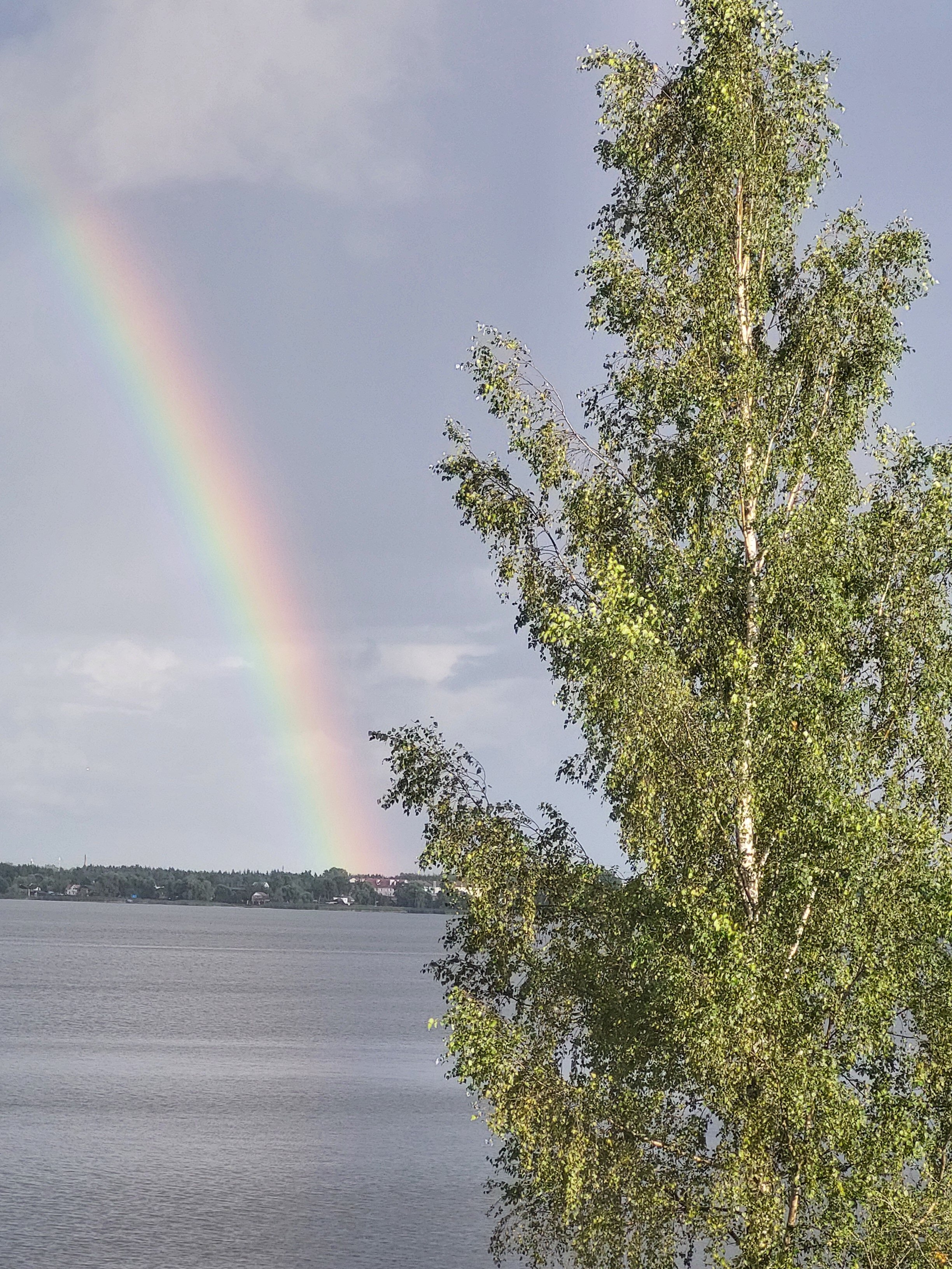 Фото Любовь