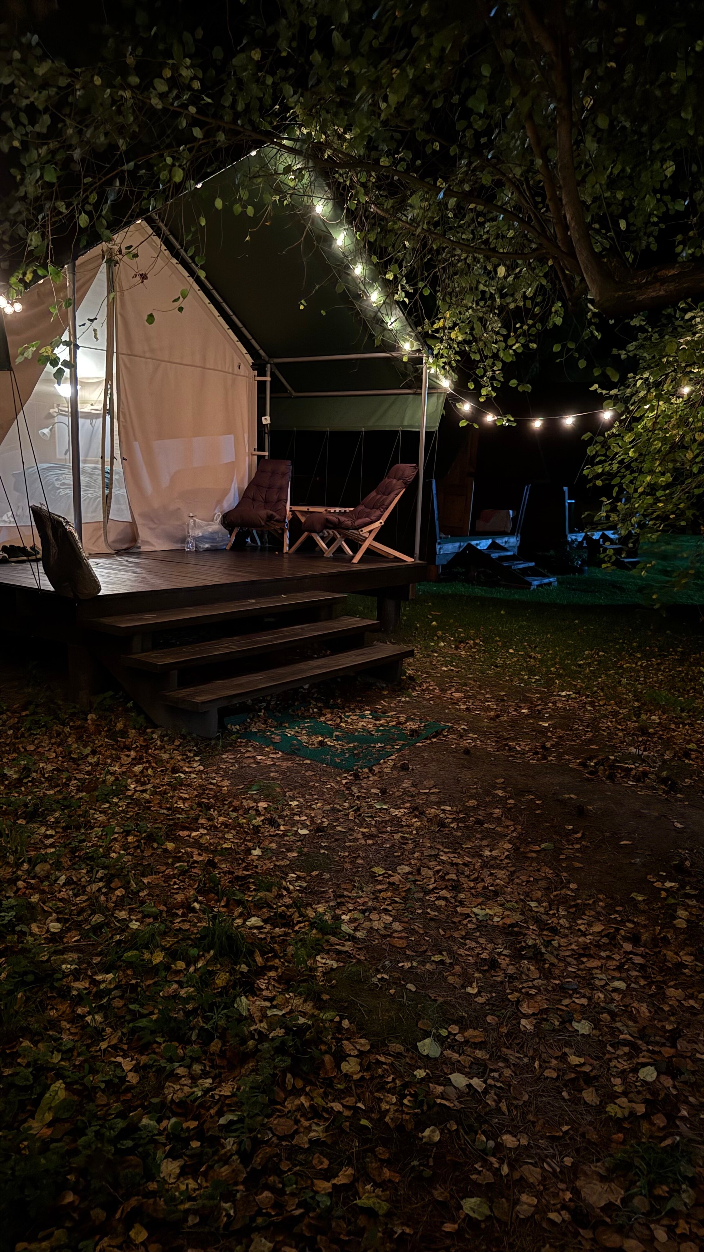 Фото Лесная семья