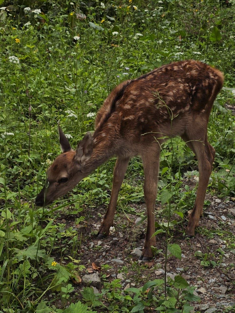 Фото А-фрэйм с душой