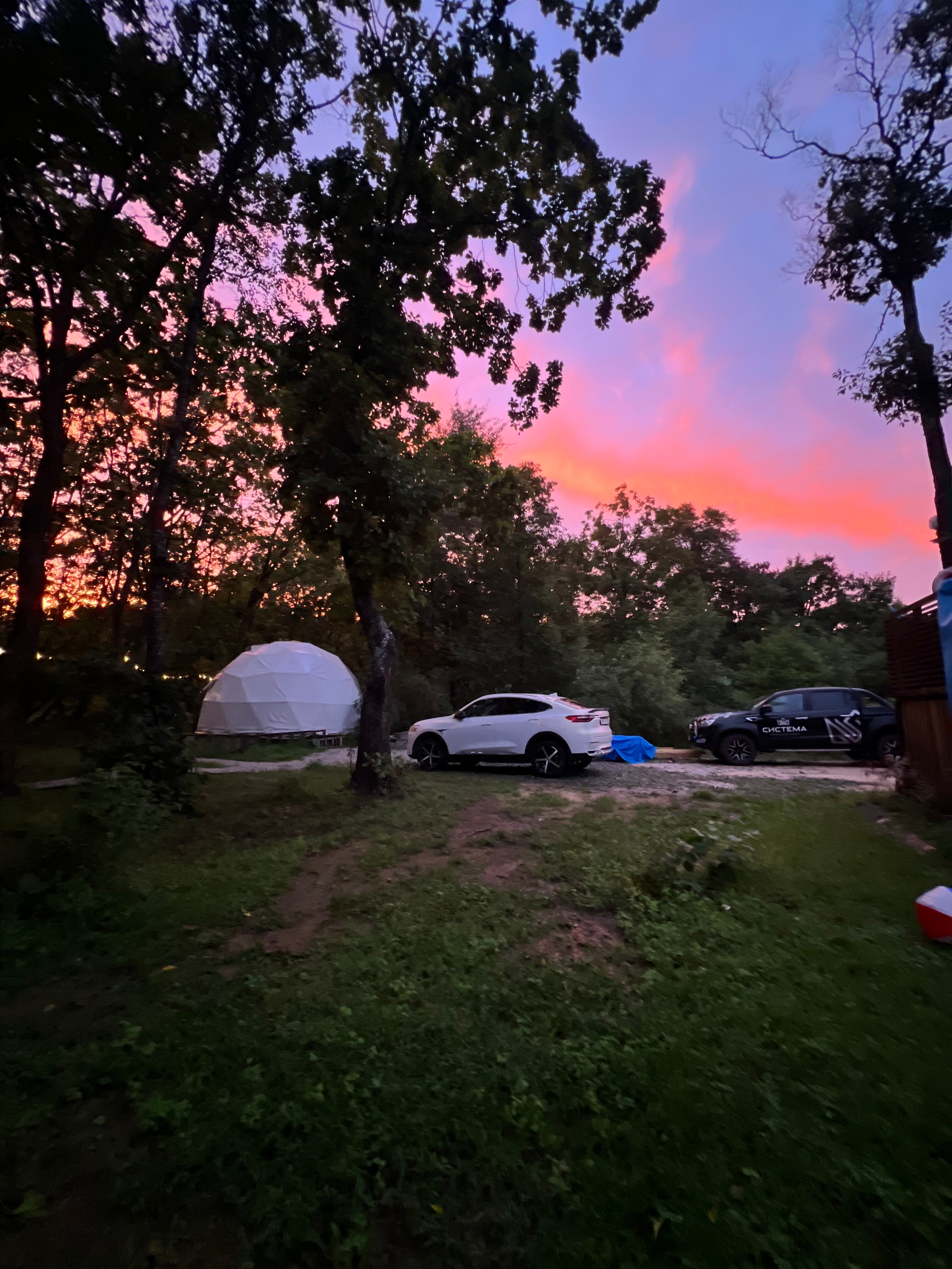 Фото Граф Потоцкий