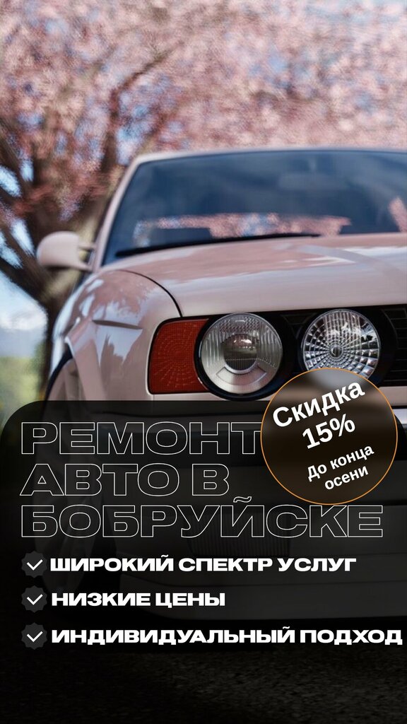 Car service, auto repair Garage, Bobruisk, photo