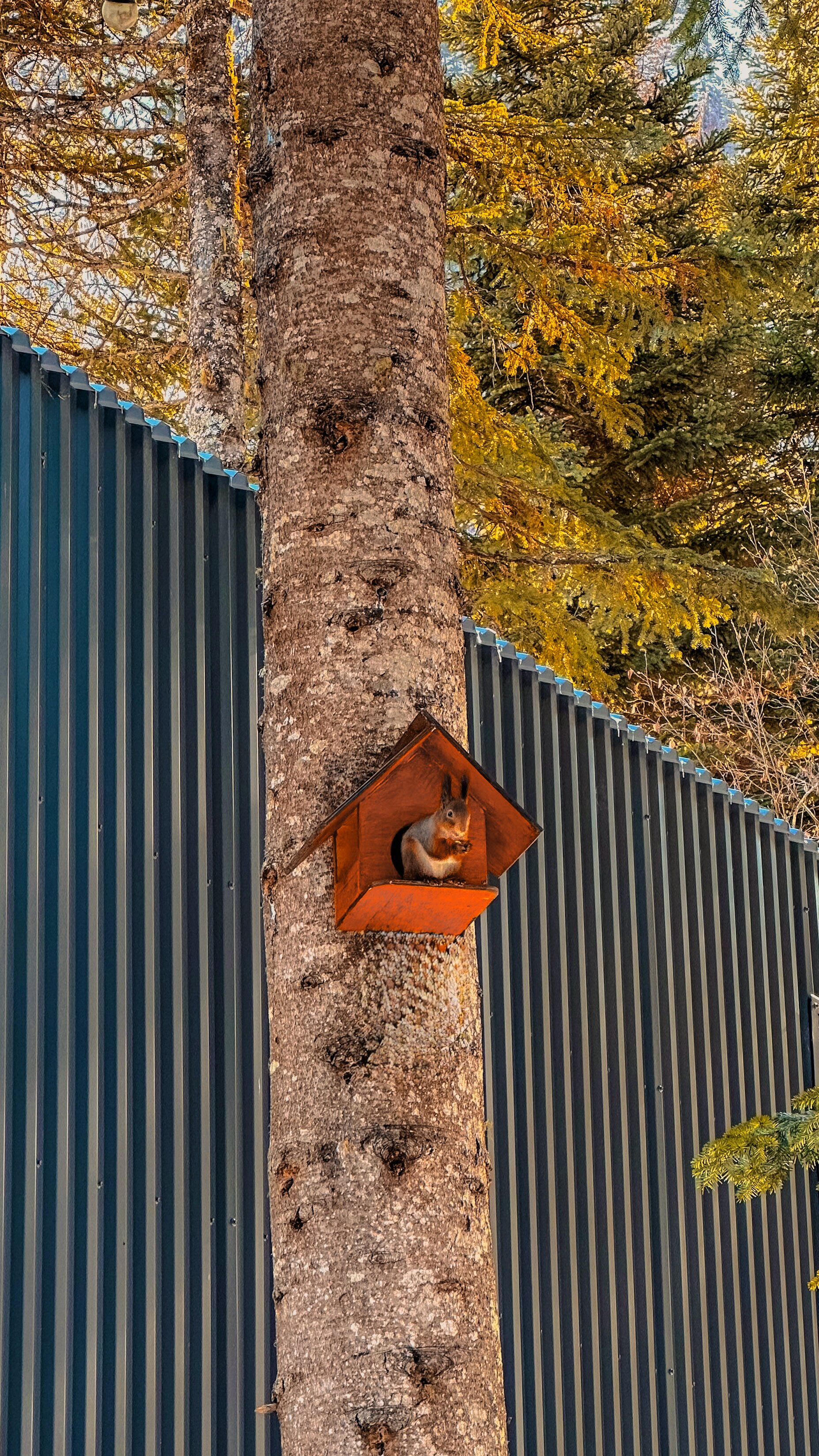 Фото Времена Года