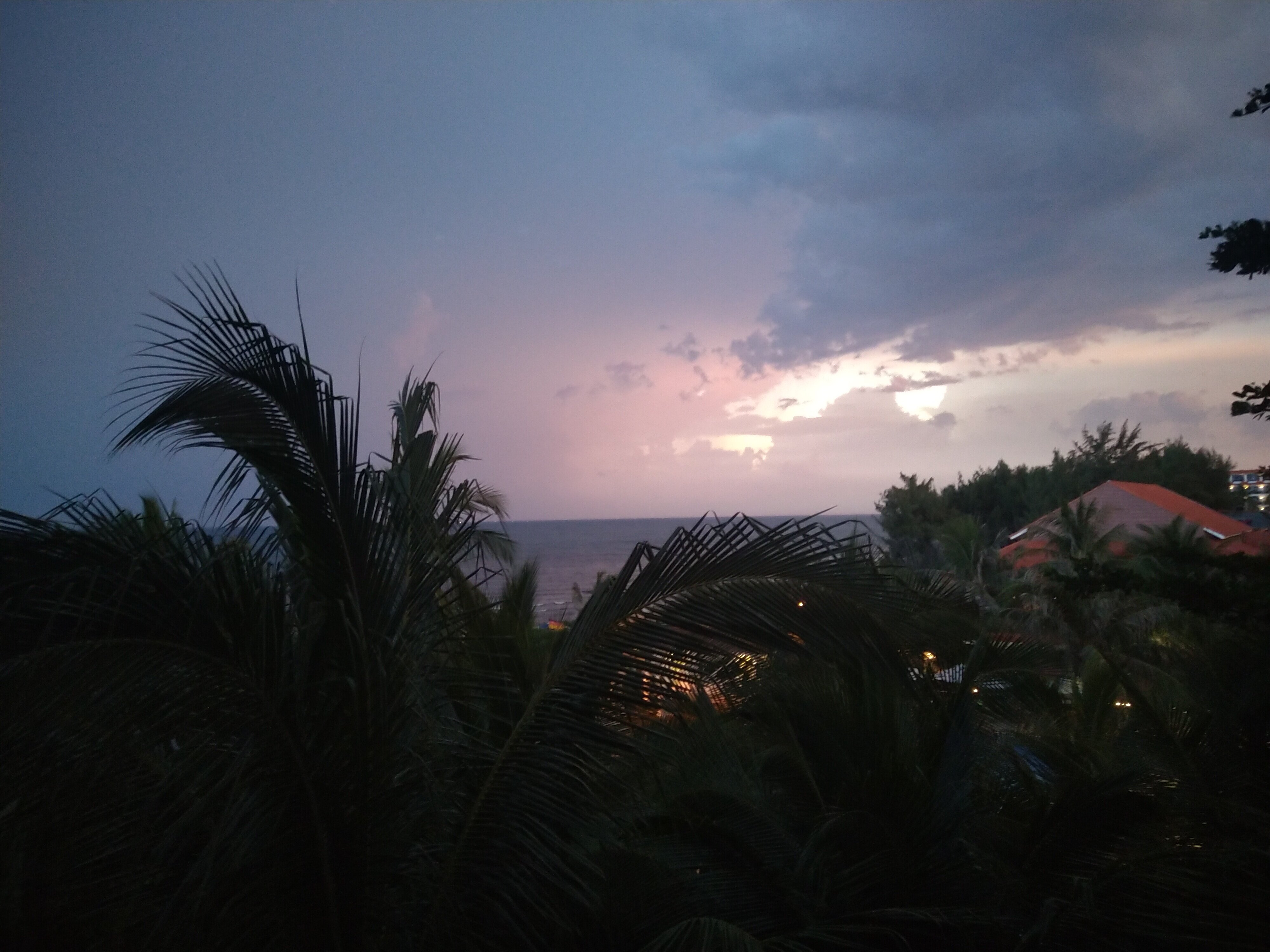 Фото Sea Lion Beach Resort Mui Ne