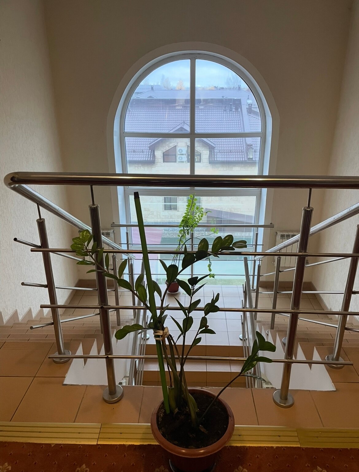 Фото Спутник Inn