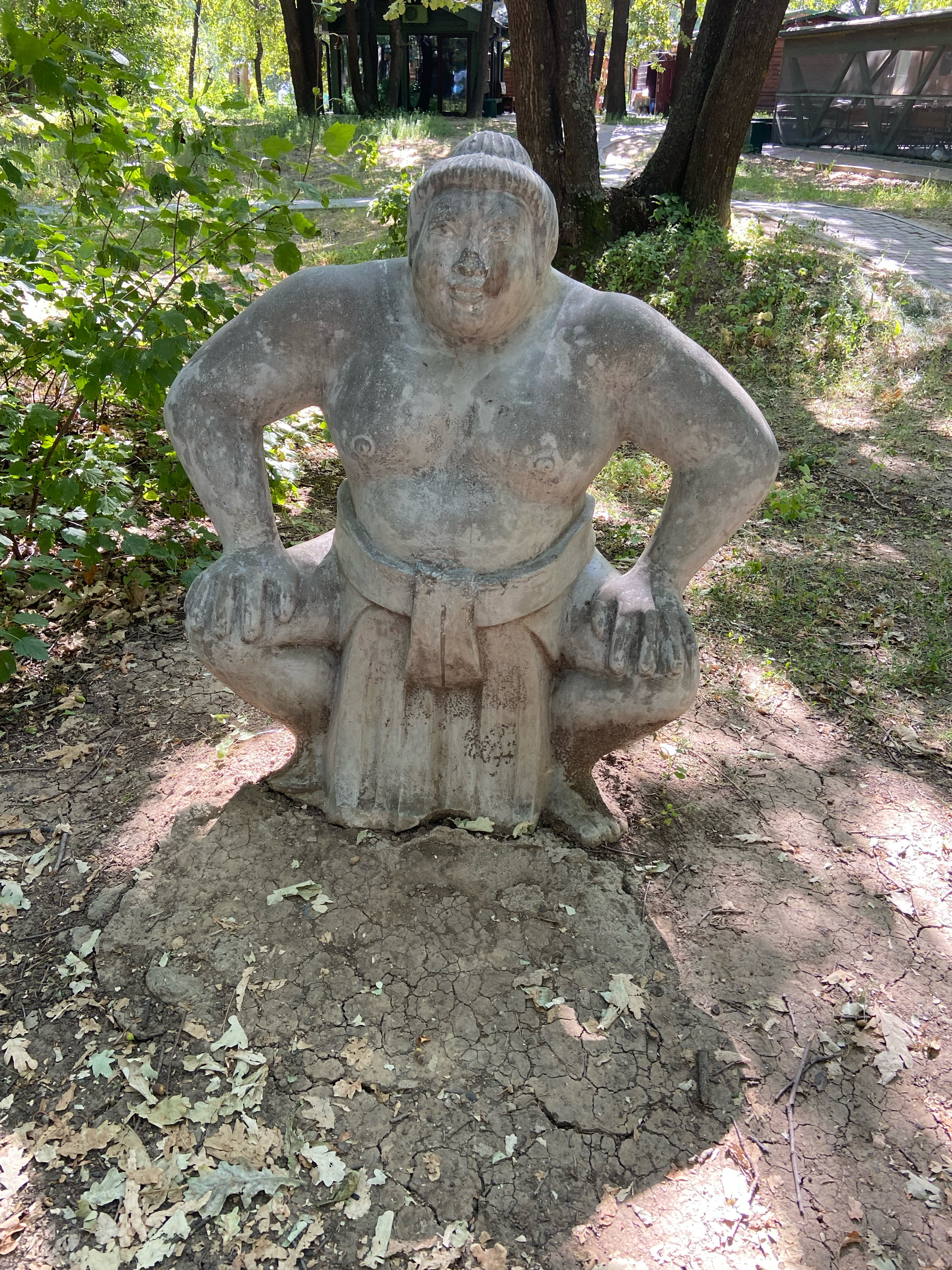 Фото Дубровский