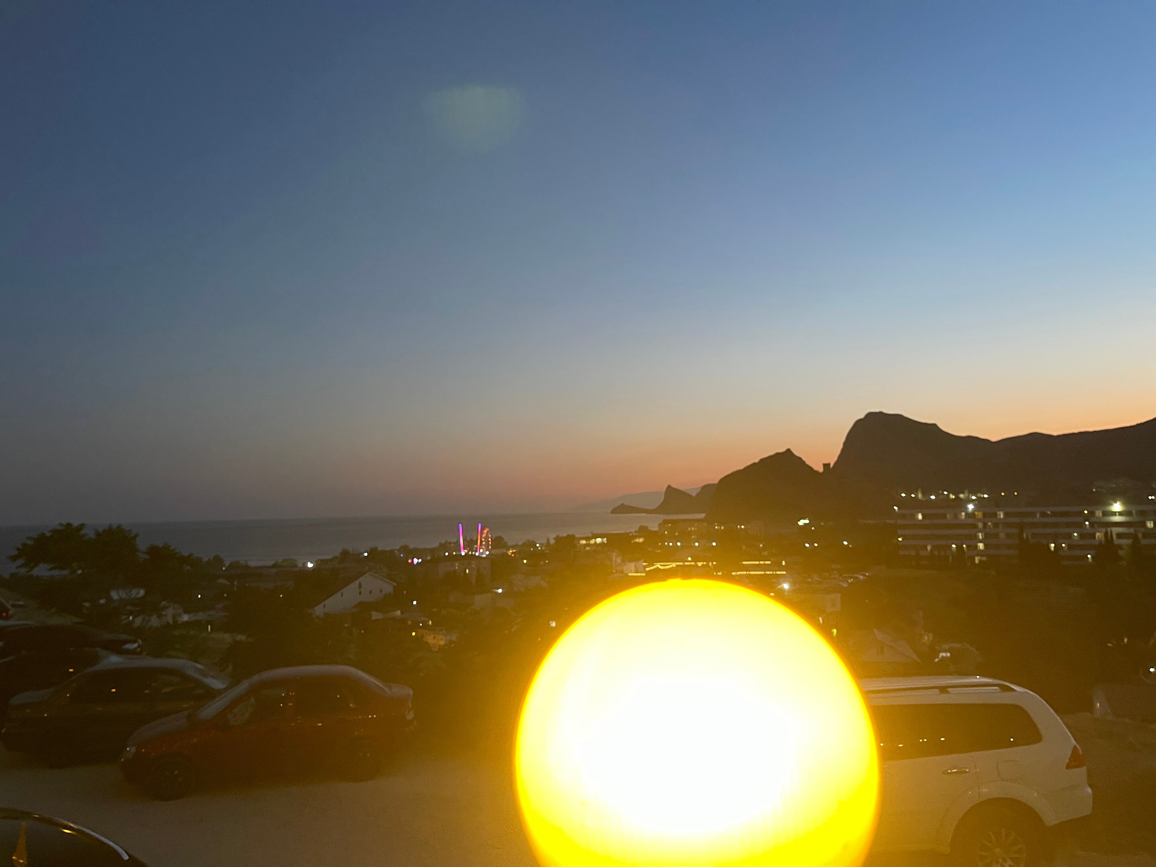 Фото Белый лев