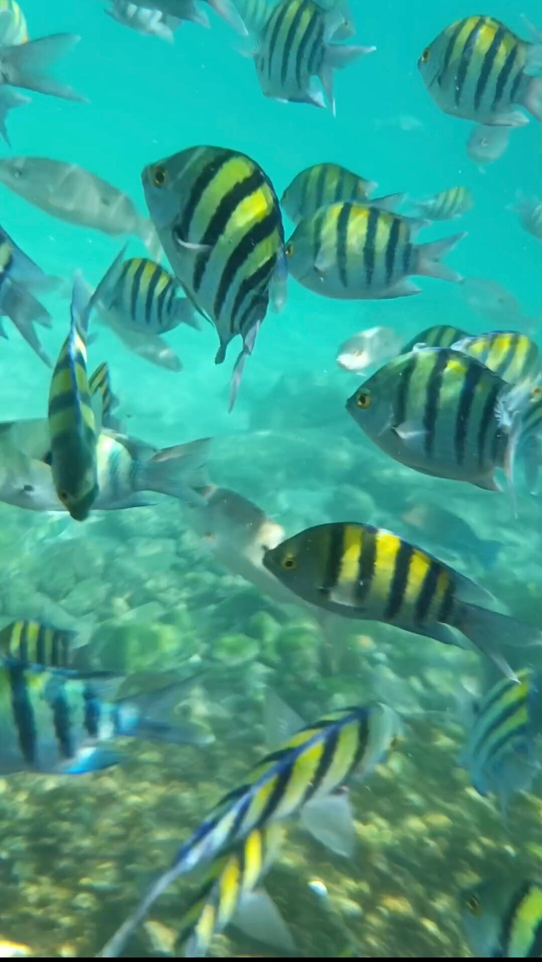 Фото Radisson Blu Resort Fujairah