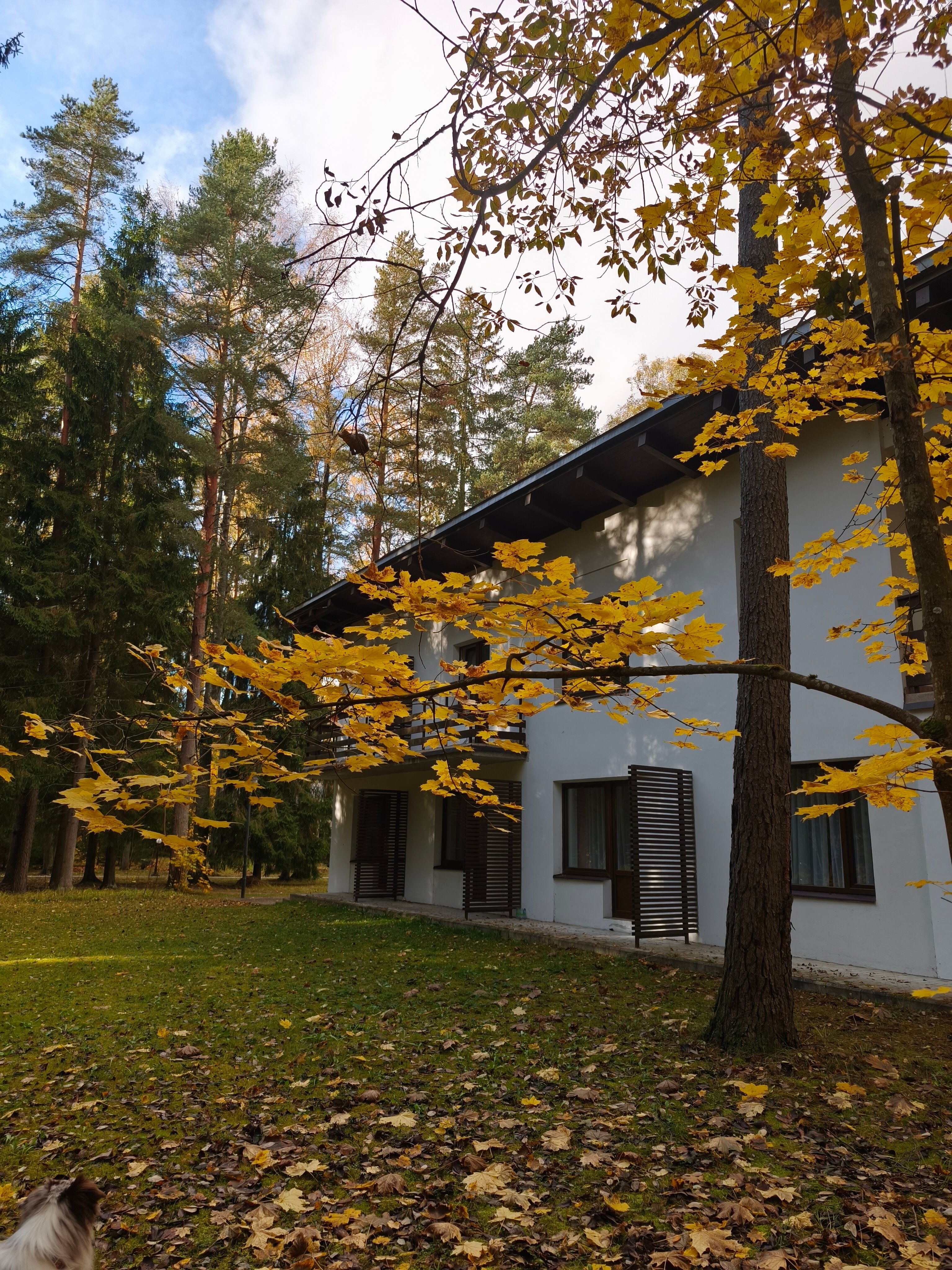 Фото Архитектура здоровья