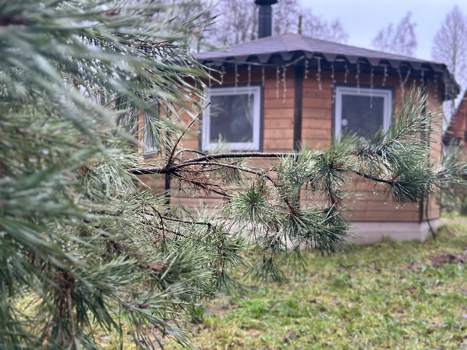 Фото Рай в шалаше