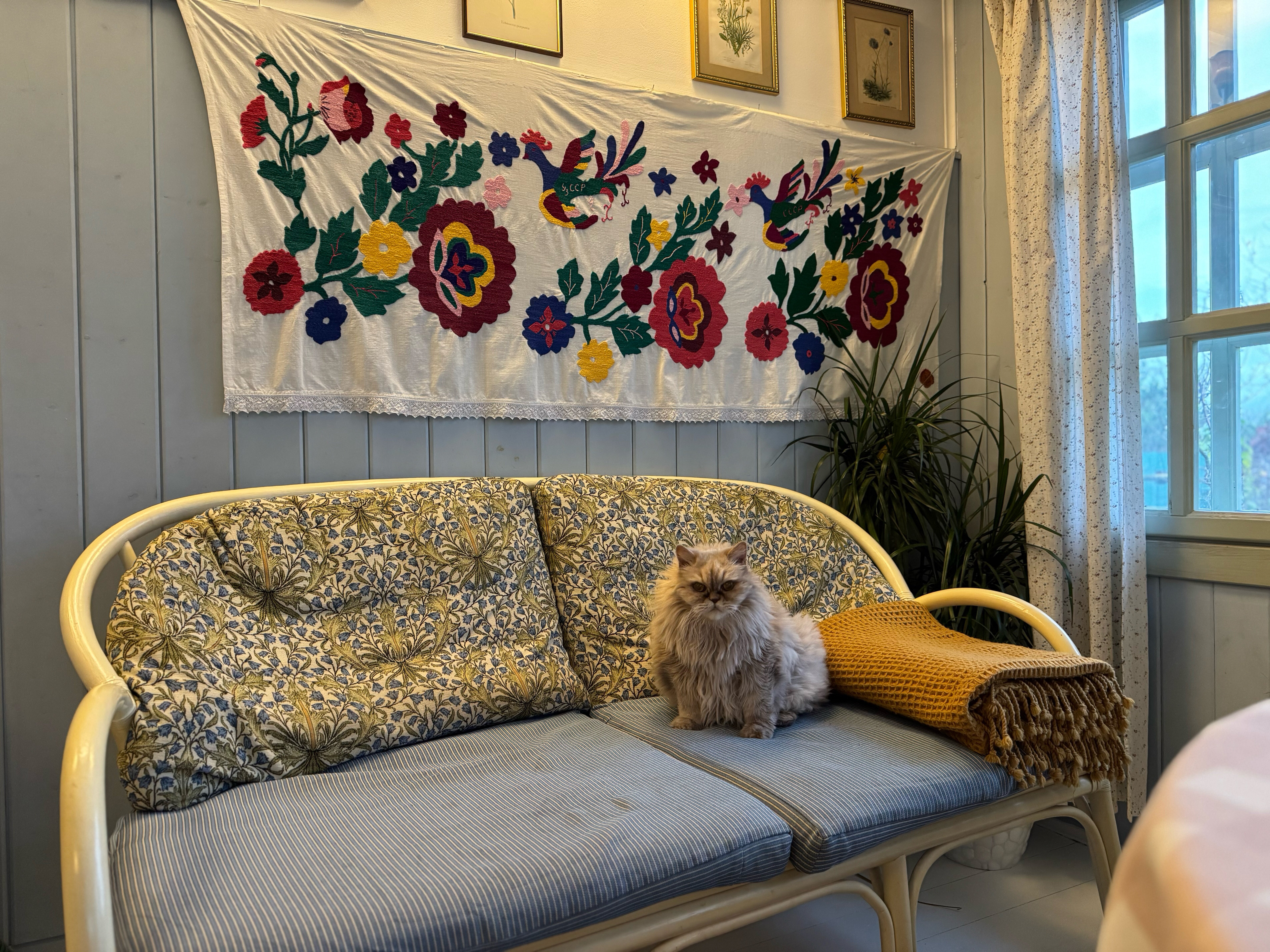 Фото Дымов Дача - Синий Дом