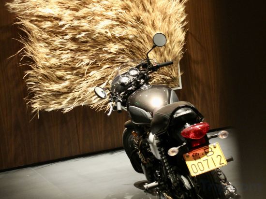 Фото Flow and Co. Qingdao, Autograph Collection