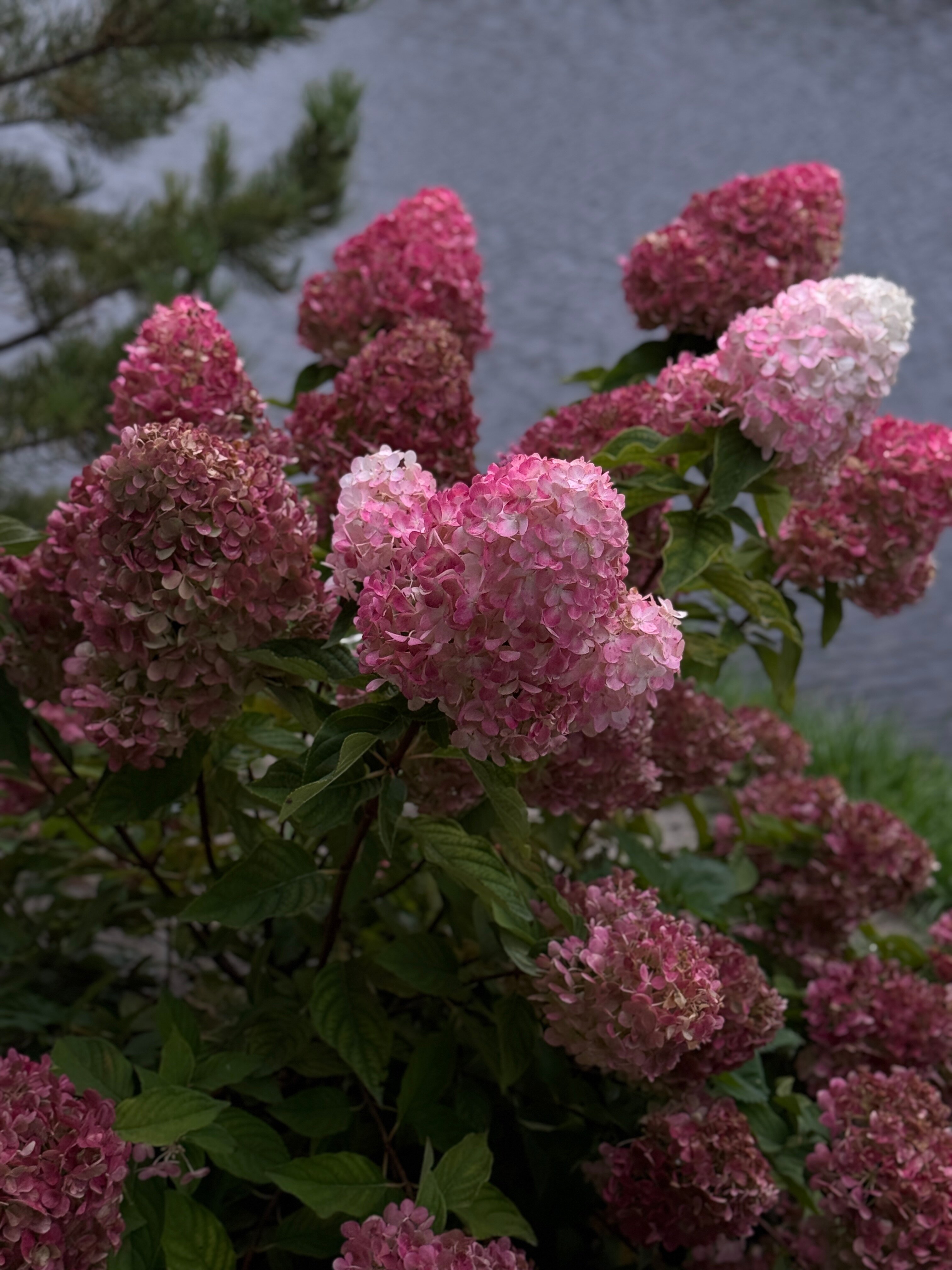 Фото Дом-баня Nickol