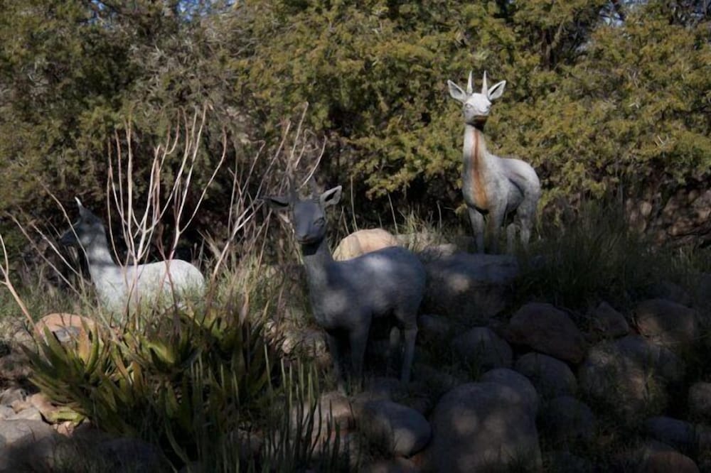 Фото Ko-Ka Tsara Bushcamp