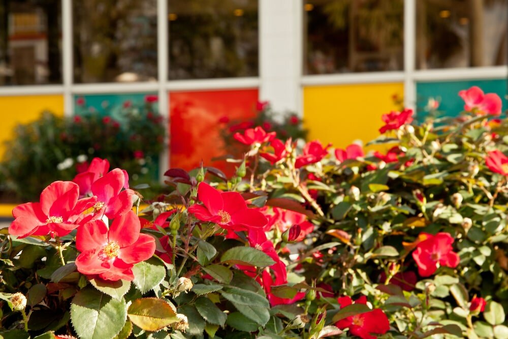 Фото Thunderbird Inn