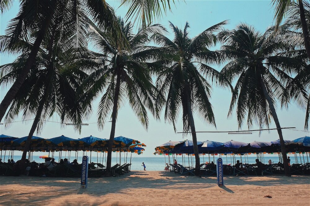 Фото Sea Sand Trees