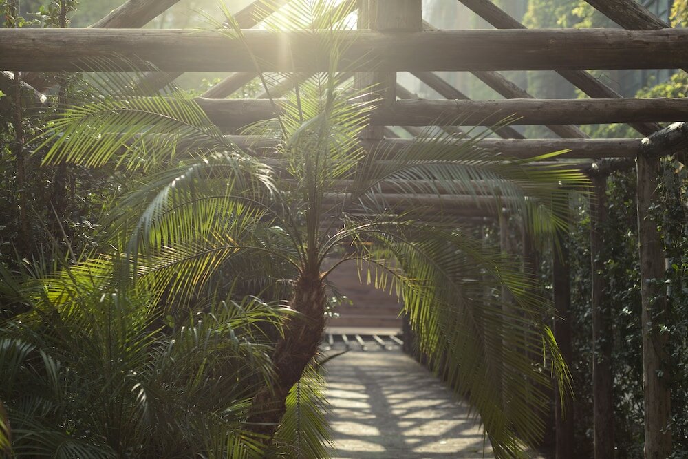 Фото Stamba Hotel