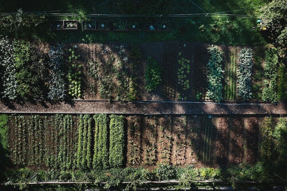 Фото Grandhotel Giessbach