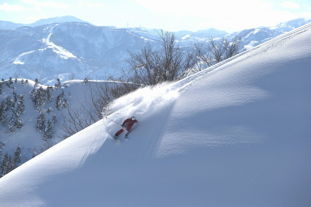 Фото Muica Onsen Hotel