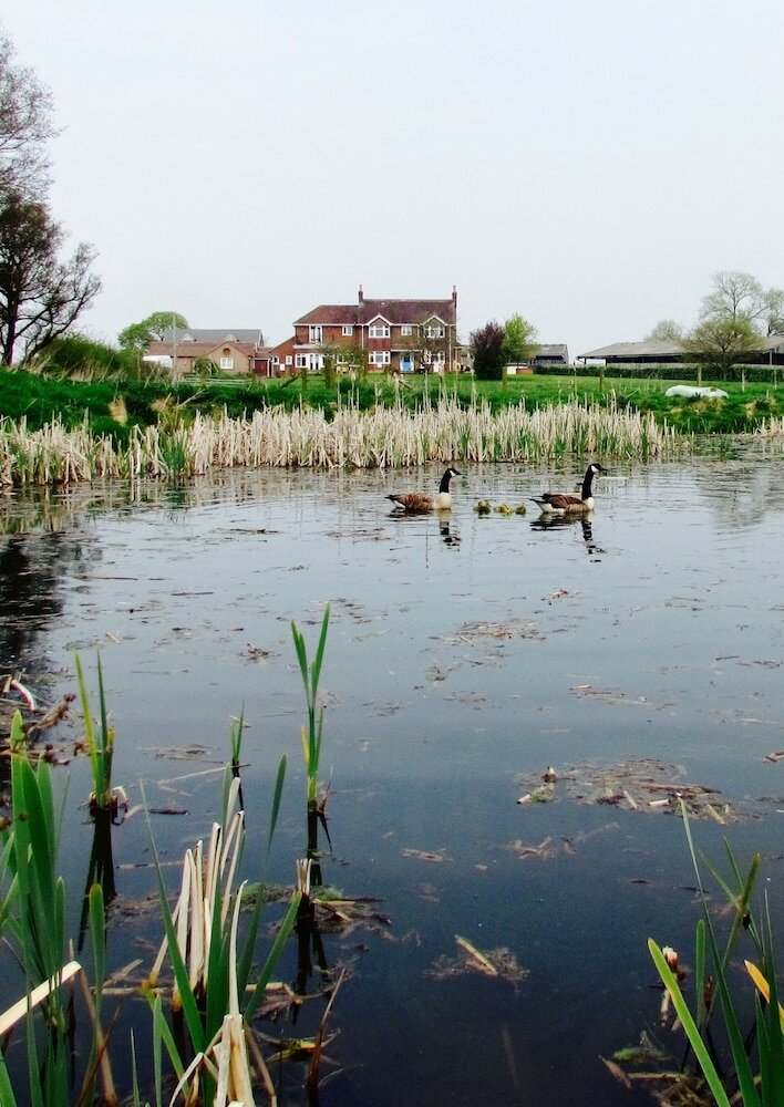 Фото The Moorhead Bed & Breakfast