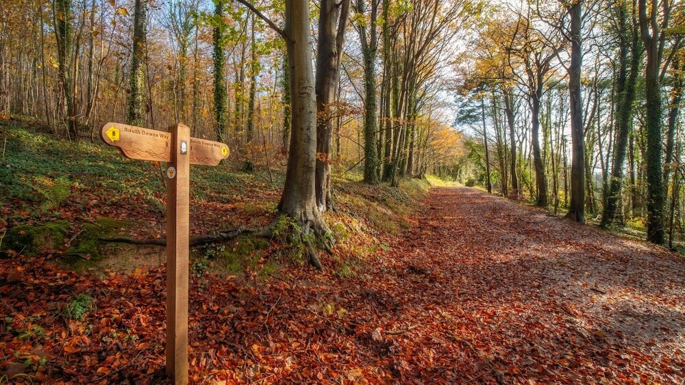 Фото Holiday Inn London Gatwick Worth