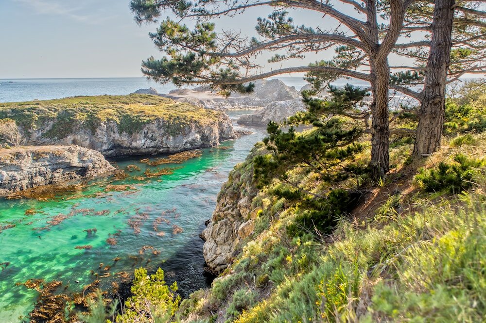 Фото Casa Munras Garden Hotel & Spa