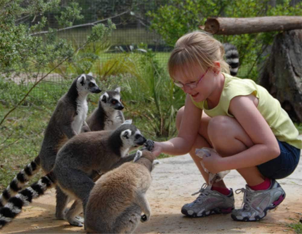 Фото Holiday Inn Express & Suites Lakeland South, an Ihg Hotel