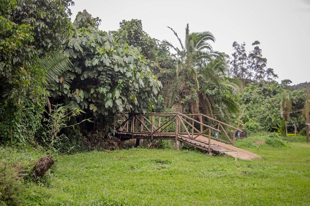 Фото Roots Retreat and Camping Resort