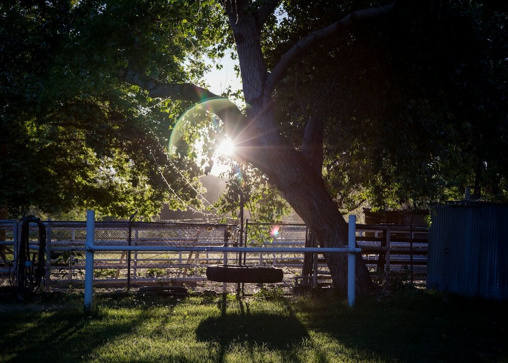 Фото Red Horse Bed and Breakfast