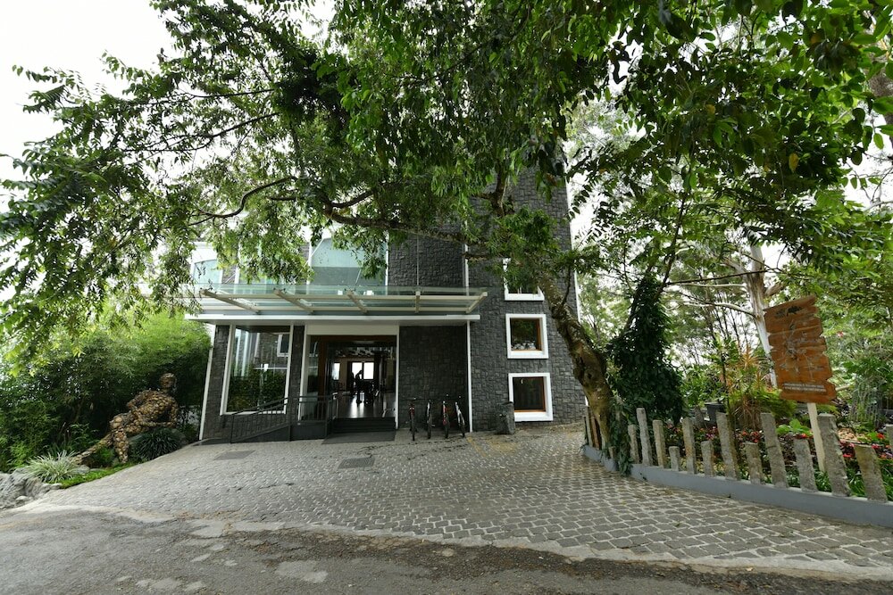 Фото Chandys Windy Woods