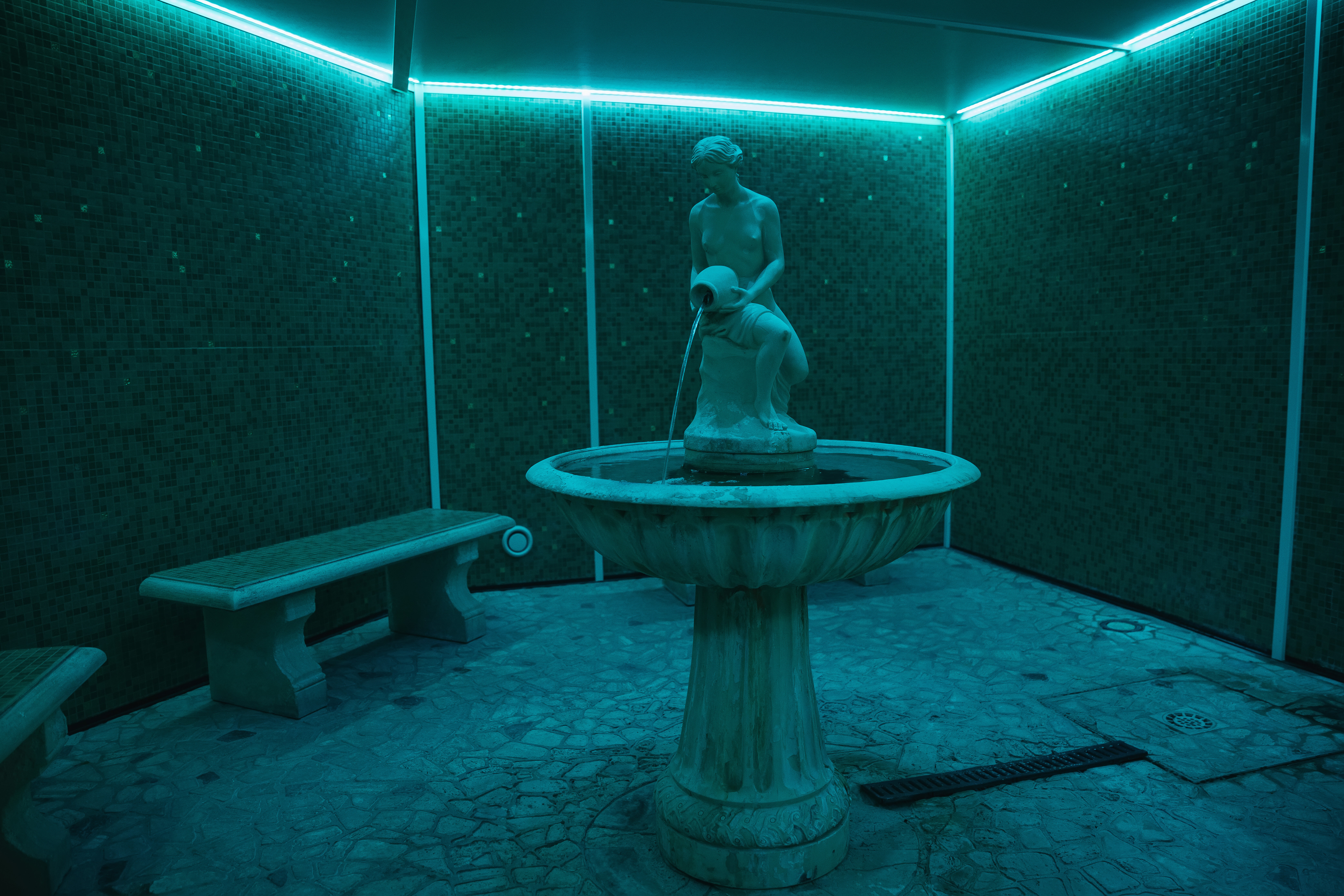 Фото President Terme Hotel