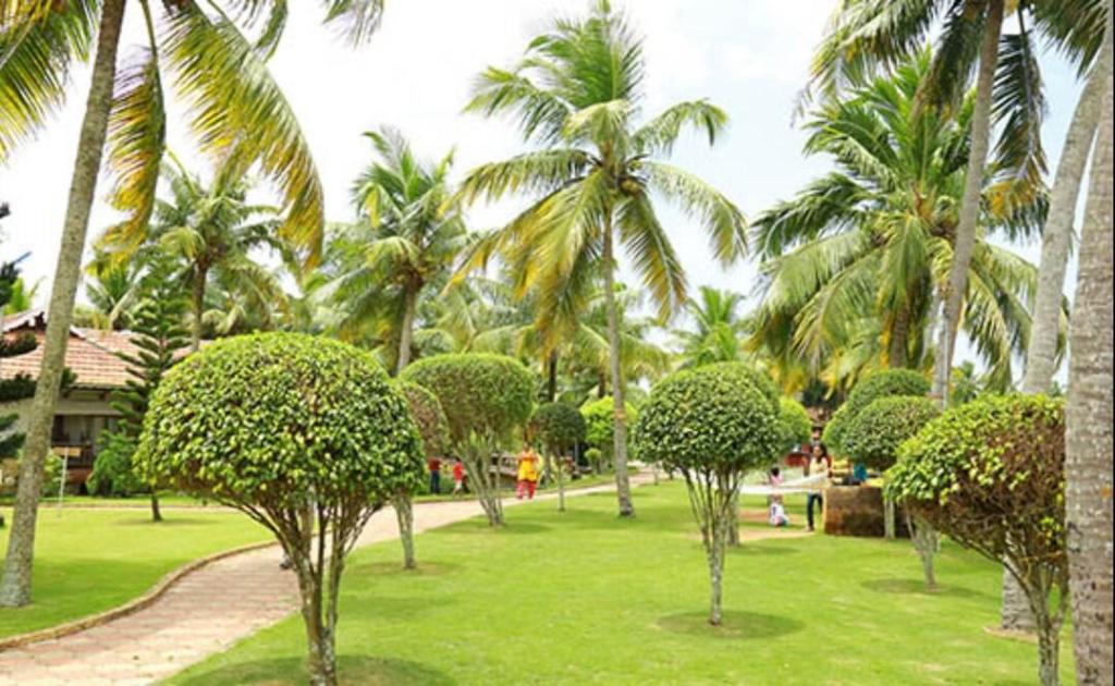 Фото Kalathil Lake Resort