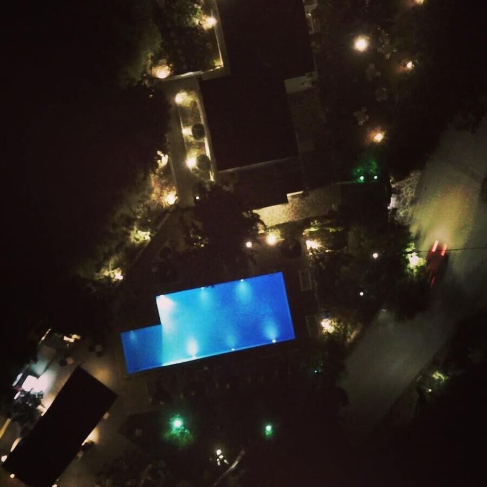 Фото Отель Trees Art Boutique