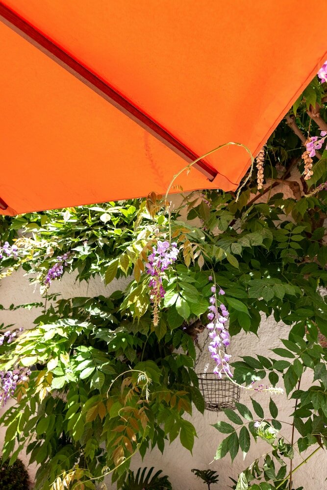 Фото Hotel Sa Voga