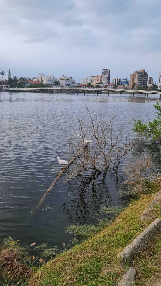 Фото Guarita Park Hotel
