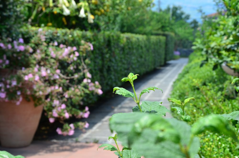 Фото La Terra del Mezzo