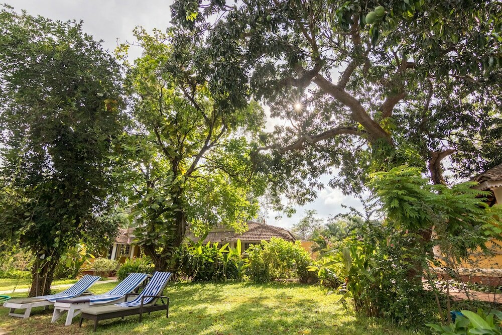 Фото Granpa's Inn Hotel Bougainvillea