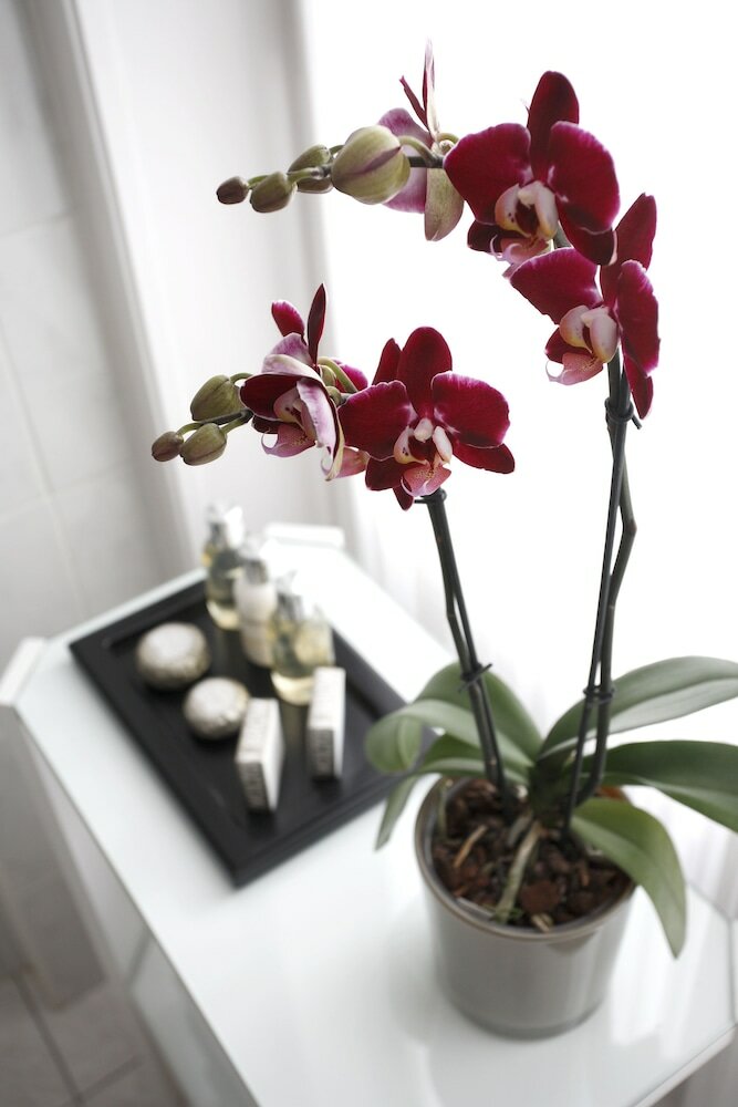 Фото Le Plaza Hotel Brussels