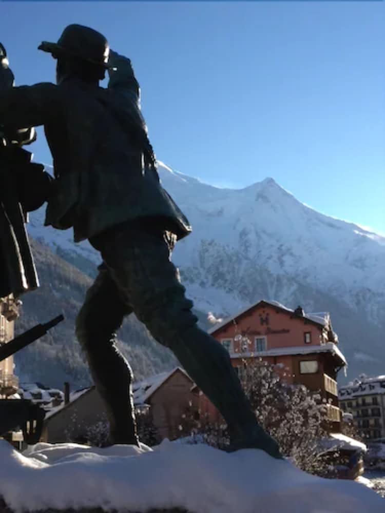 Фото Vallée Blanche Hotel