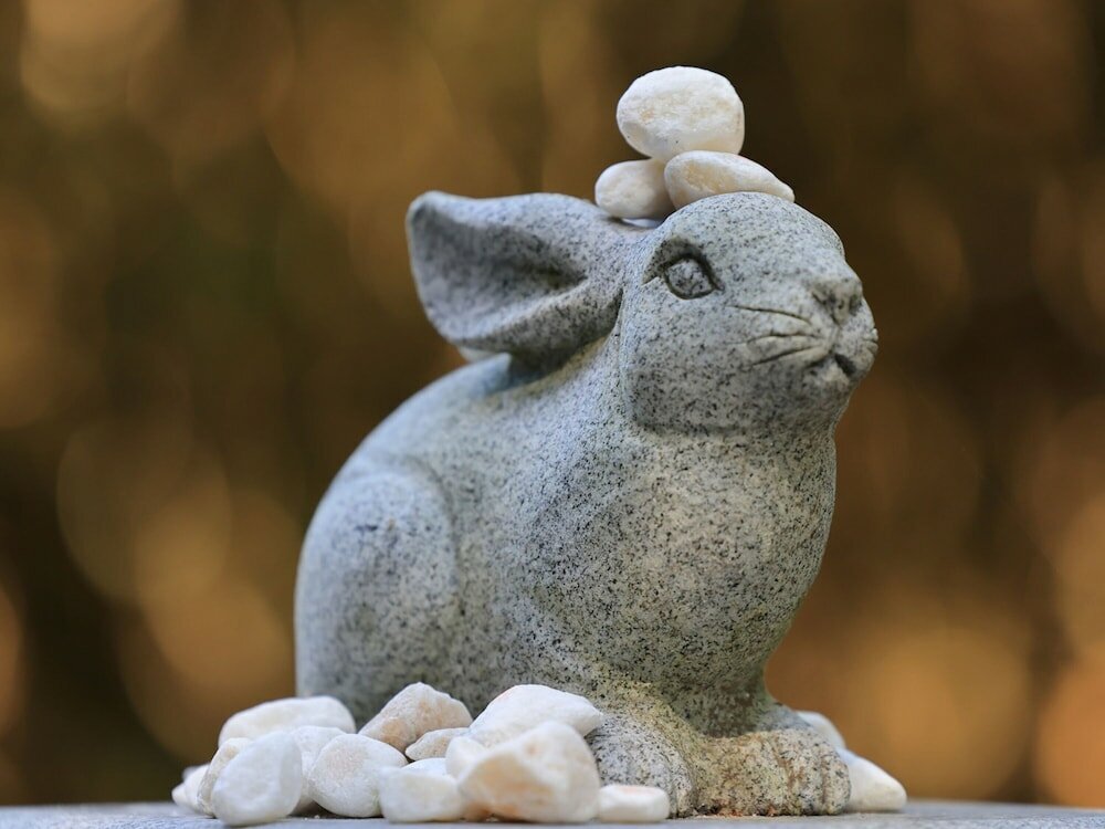 Фото Toyoko Inn Tottori-Eki Minami-Guchi