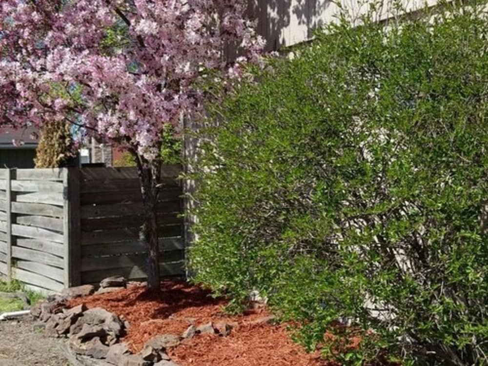 Фото Lakeshor Motor Inn