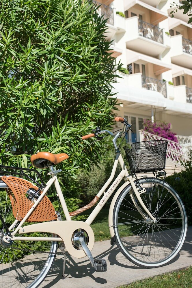 Фото Hotel Il Negresco